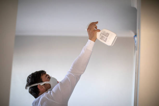 Home Mold Removal in June Park, FL