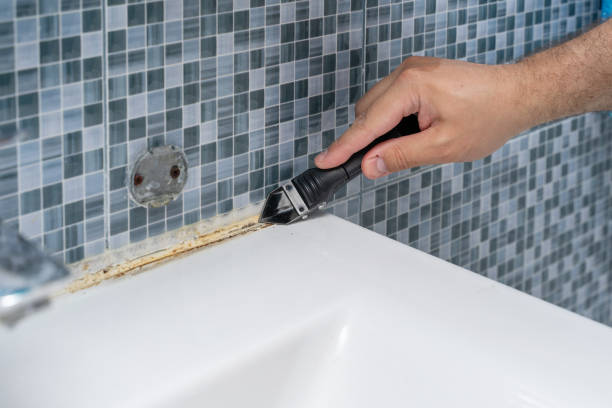June Park, FL Mold Removal Company